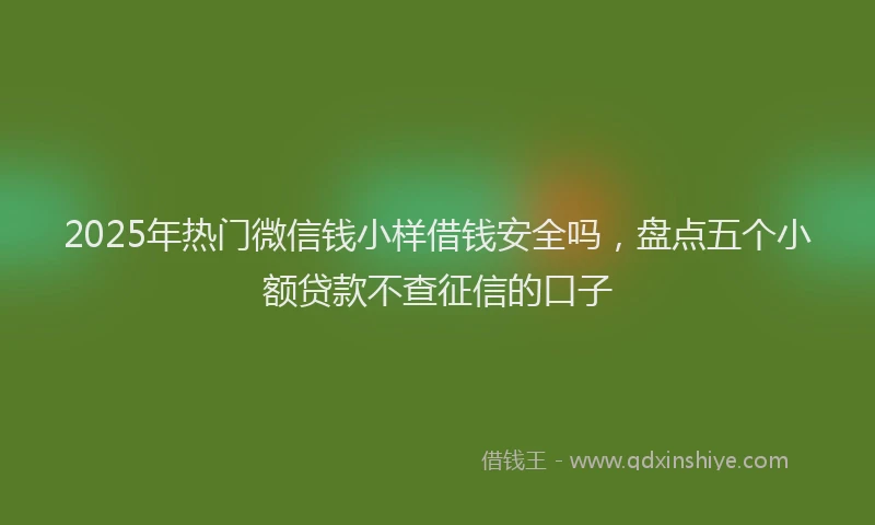 2025年热门微信钱小样借钱安全吗，盘点五个小额贷款不查征信的口子