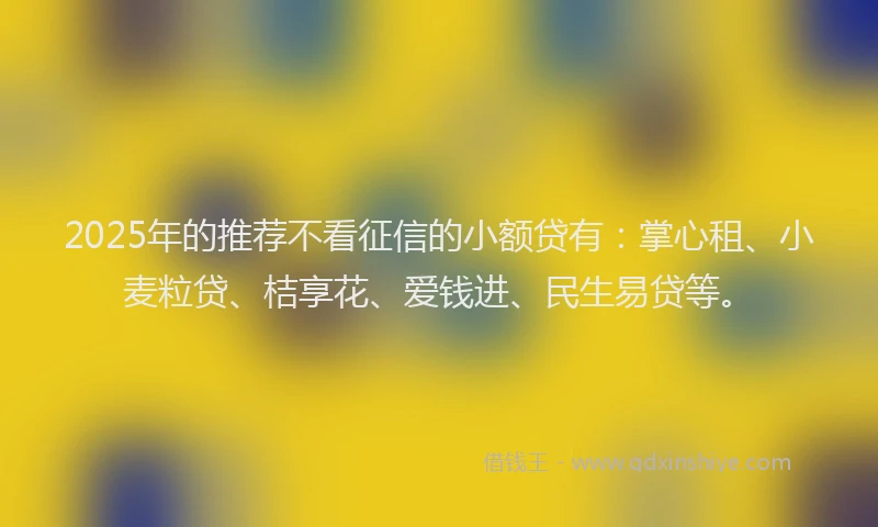 2025年的推荐不看征信的小额贷有：掌心租、小麦粒贷、桔享花、爱钱进、民生易贷等。