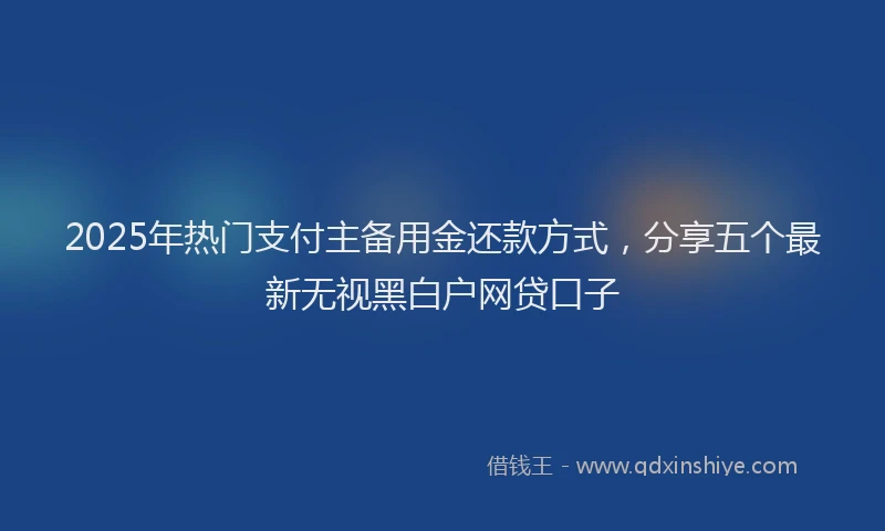 2025年热门支付主备用金还款方式，分享五个最新无视黑白户网贷口子