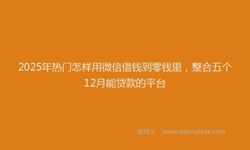 2025年热门怎样用微信借钱到零钱里，整合五个12月能贷款的平台