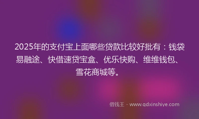 2025年的支付宝上面哪些贷款比较好批有：钱袋易融途、快借速贷宝盒、优乐快购、维维钱包、雪花商城等。