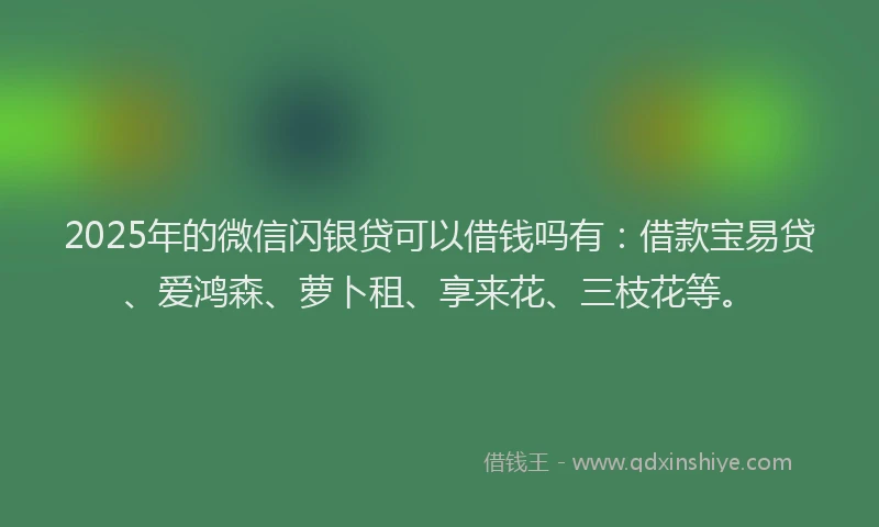 2025年的微信闪银贷可以借钱吗有：借款宝易贷、爱鸿森、萝卜租、享来花、三枝花等。