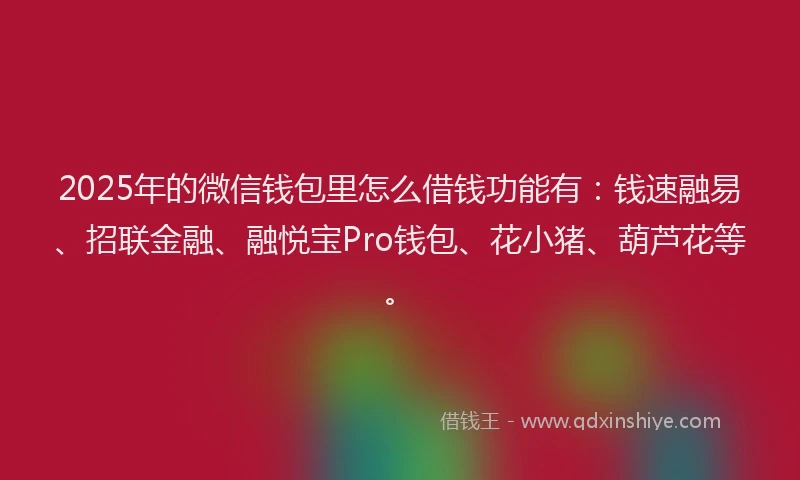 2025年的微信钱包里怎么借钱功能有：钱速融易、招联金融、融悦宝Pro钱包、花小猪、葫芦花等。