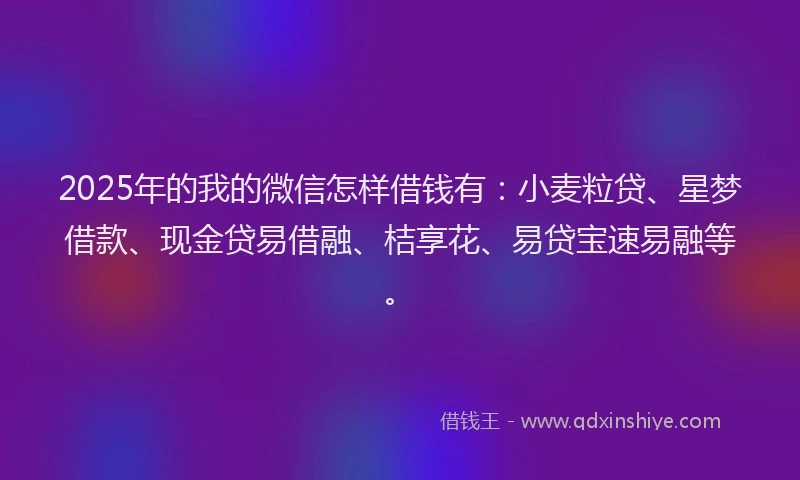 2025年的我的微信怎样借钱有：小麦粒贷、星梦借款、现金贷易借融、桔享花、易贷宝速易融等。