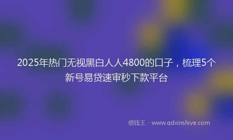 2025年热门无视黑白人人4800的口子，梳理5个新号易贷速审秒下款平台