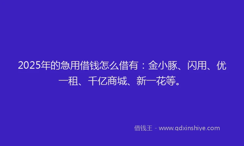 2025年的急用借钱怎么借有：金小豚、闪用、优一租、千亿商城、新一花等。
