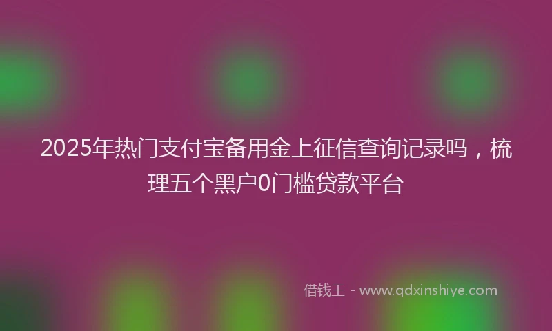 2025年热门支付宝备用金上征信查询记录吗，梳理五个黑户0门槛贷款平台