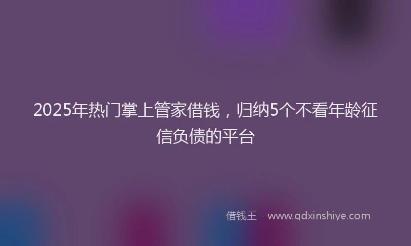 2025年热门掌上管家借钱，归纳5个不看年龄征信负债的平台