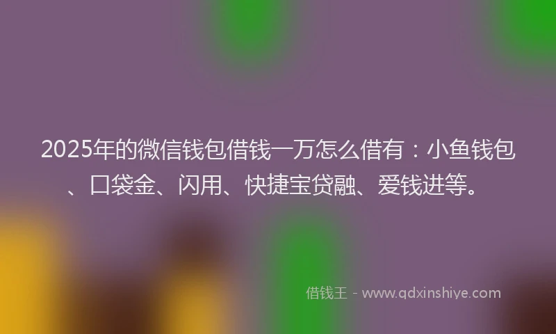 2025年的微信钱包借钱一万怎么借有：小鱼钱包、口袋金、闪用、快捷宝贷融、爱钱进等。