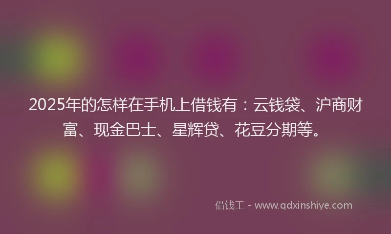 2025年的怎样在手机上借钱有：云钱袋、沪商财富、现金巴士、星辉贷、花豆分期等。