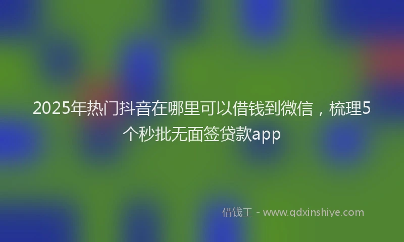 2025年热门抖音在哪里可以借钱到微信，梳理5个秒批无面签贷款app