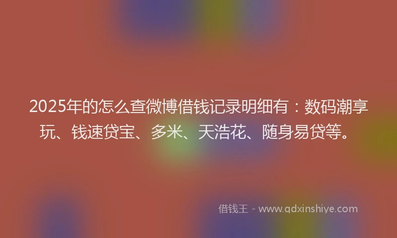 2025年的怎么查微博借钱记录明细有：数码潮享玩、钱速贷宝、多米、天浩花、随身易贷等。