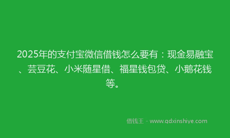 2025年的支付宝微信借钱怎么要有：现金易融宝、芸豆花、小米随星借、福星钱包贷、小鹅花钱等。