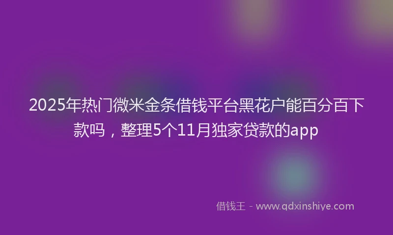 2025年热门微米金条借钱平台黑花户能百分百下款吗，整理5个11月独家贷款的app
