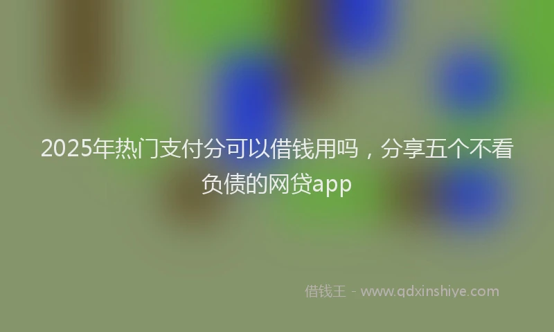 2025年热门支付分可以借钱用吗，分享五个不看负债的网贷app