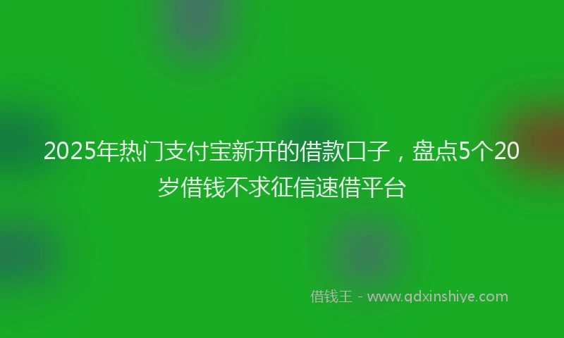 2025年热门支付宝新开的借款口子，盘点5个20岁借钱不求征信速借平台