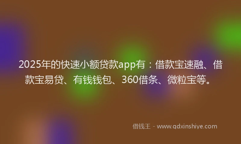 2025年的快速小额贷款app有：借款宝速融、借款宝易贷、有钱钱包、360借条、微粒宝等。