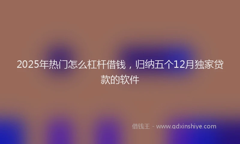 2025年热门怎么杠杆借钱，归纳五个12月独家贷款的软件
