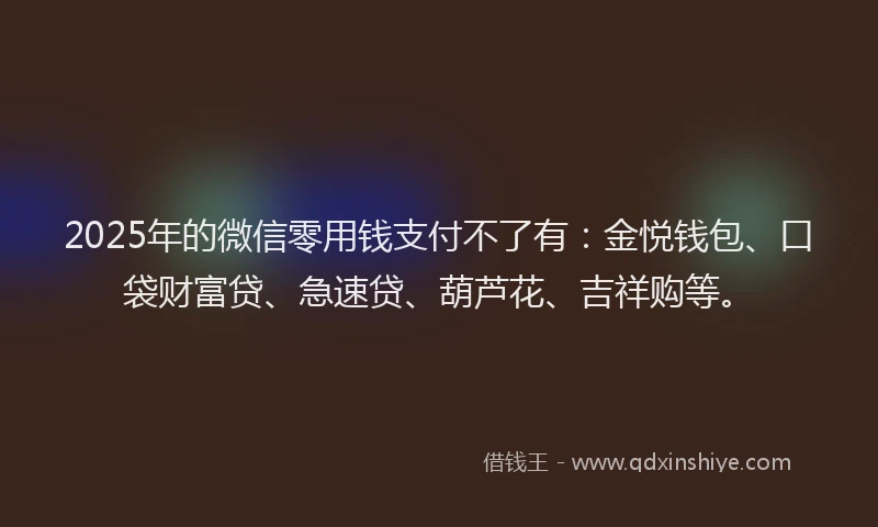 2025年的微信零用钱支付不了有：金悦钱包、口袋财富贷、急速贷、葫芦花、吉祥购等。