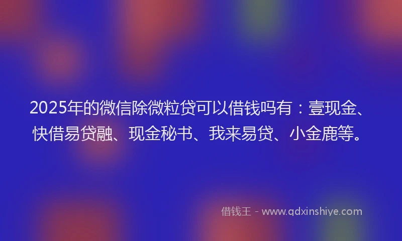 2025年的微信除微粒贷可以借钱吗有：壹现金、快借易贷融、现金秘书、我来易贷、小金鹿等。