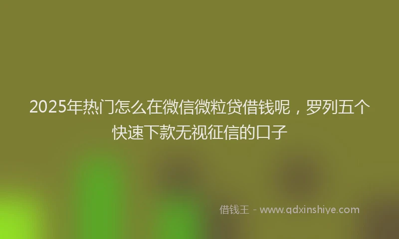 2025年热门怎么在微信微粒贷借钱呢，罗列五个快速下款无视征信的口子