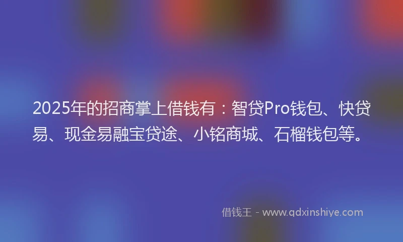 2025年的招商掌上借钱有：智贷Pro钱包、快贷易、现金易融宝贷途、小铭商城、石榴钱包等。