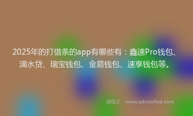 2025年的打借条的app有哪些有：鑫速Pro钱包、滴水贷、瑞宝钱包、金易钱包、速享钱包等。