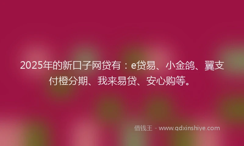 2025年的新口子网贷有：e贷易、小金鸽、翼支付橙分期、我来易贷、安心购等。