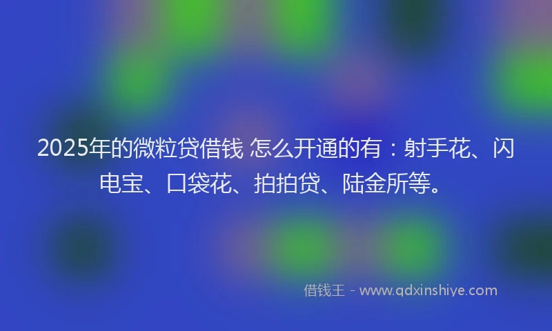 2025年的微粒贷借钱 怎么开通的有：射手花、闪电宝、口袋花、拍拍贷、陆金所等。
