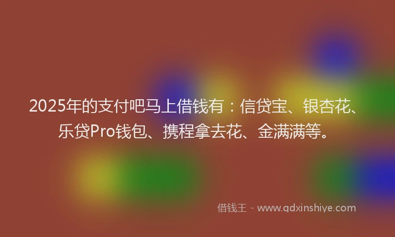 2025年的支付吧马上借钱有：信贷宝、银杏花、乐贷Pro钱包、携程拿去花、金满满等。