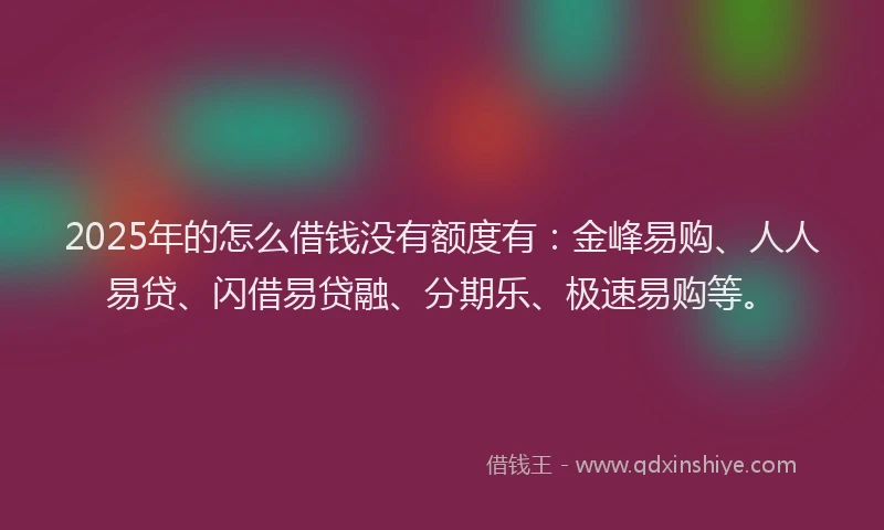 2025年的怎么借钱没有额度有：金峰易购、人人易贷、闪借易贷融、分期乐、极速易购等。
