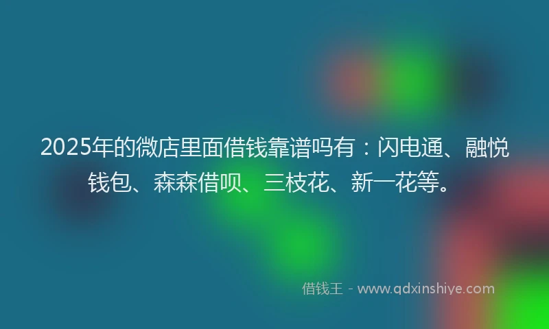 2025年的微店里面借钱靠谱吗有：闪电通、融悦钱包、森森借呗、三枝花、新一花等。