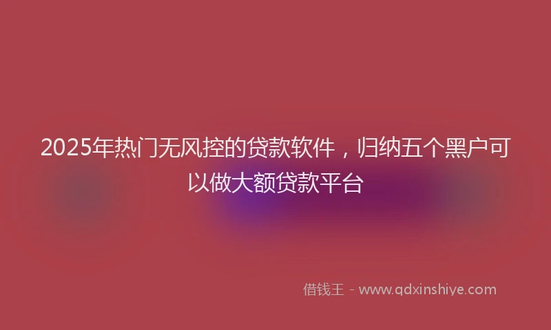 2025年热门无风控的贷款软件，归纳五个黑户可以做大额贷款平台