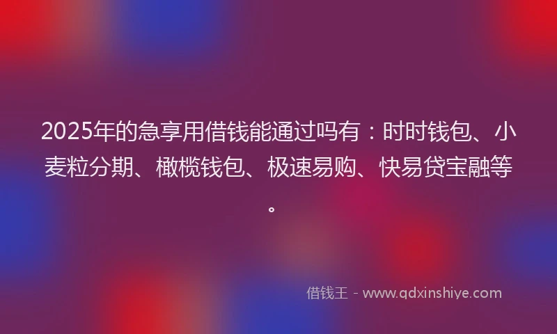 2025年的急享用借钱能通过吗有：时时钱包、小麦粒分期、橄榄钱包、极速易购、快易贷宝融等。