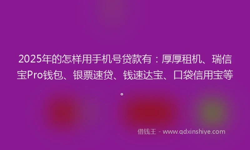 2025年的怎样用手机号贷款有：厚厚租机、瑞信宝Pro钱包、银票速贷、钱速达宝、口袋信用宝等。