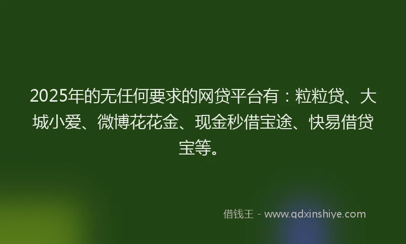 2025年的无任何要求的网贷平台有：粒粒贷、大城小爱、微博花花金、现金秒借宝途、快易借贷宝等。