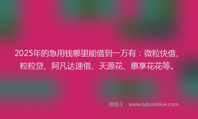 2025年的急用钱哪里能借到一万有：微粒快借、粒粒贷、阿凡达速借、天源花、惠享花花等。
