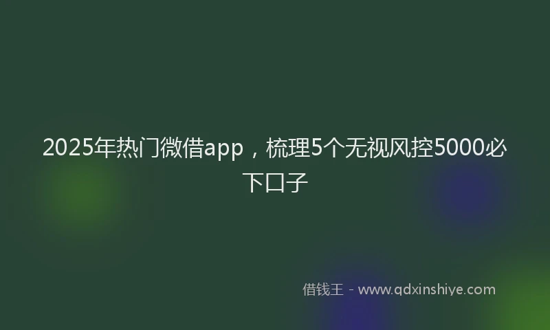 2025年热门微借app，梳理5个无视风控5000必下口子