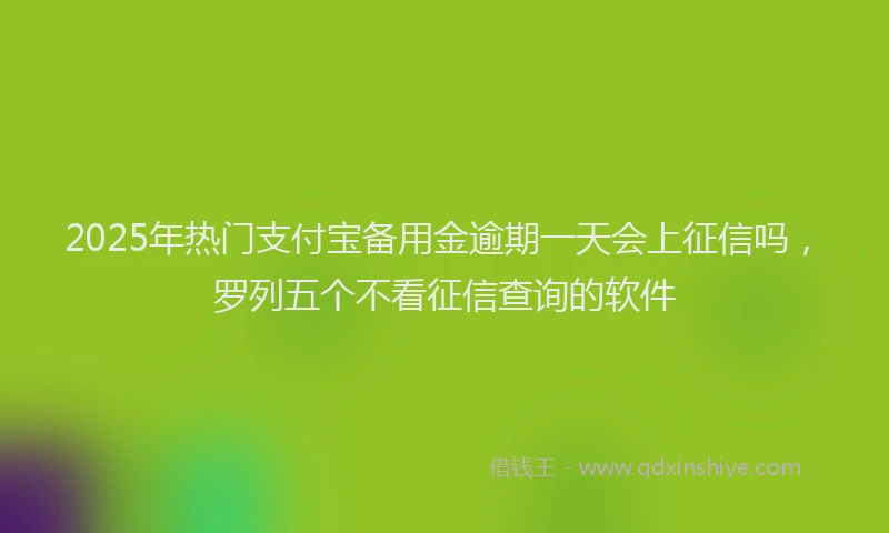 2025年热门支付宝备用金逾期一天会上征信吗，罗列五个不看征信查询的软件
