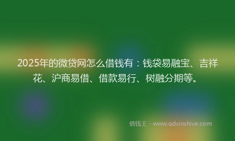 2025年的微贷网怎么借钱有：钱袋易融宝、吉祥花、沪商易借、借款易行、树融分期等。