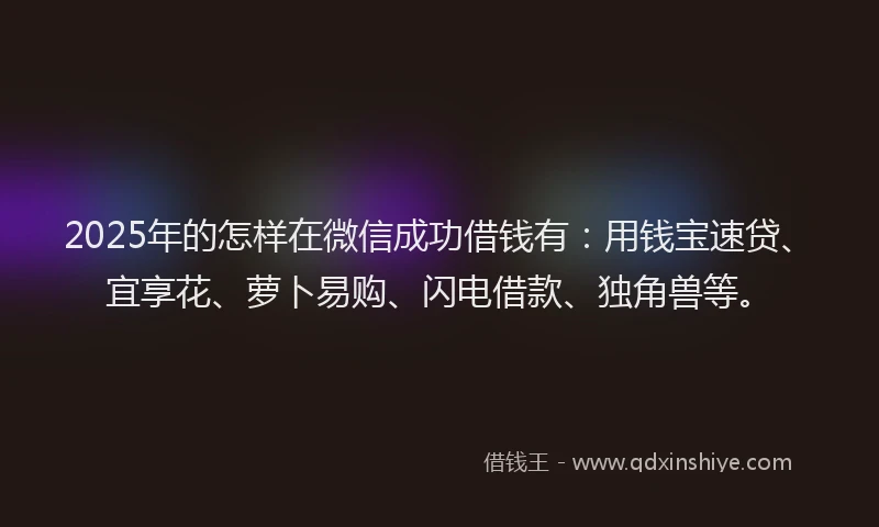 2025年的怎样在微信成功借钱有：用钱宝速贷、宜享花、萝卜易购、闪电借款、独角兽等。