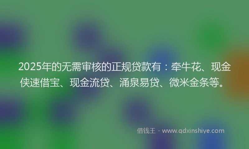 2025年的无需审核的正规贷款有：牵牛花、现金侠速借宝、现金流贷、涌泉易贷、微米金条等。