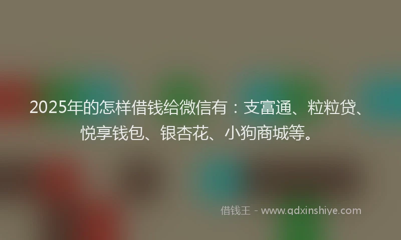 2025年的怎样借钱给微信有：支富通、粒粒贷、悦享钱包、银杏花、小狗商城等。