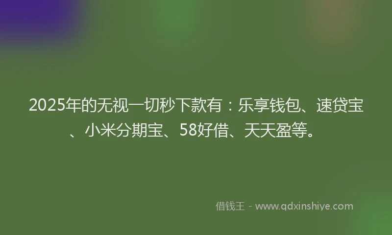 2025年的无视一切秒下款有：乐享钱包、速贷宝、小米分期宝、58好借、天天盈等。