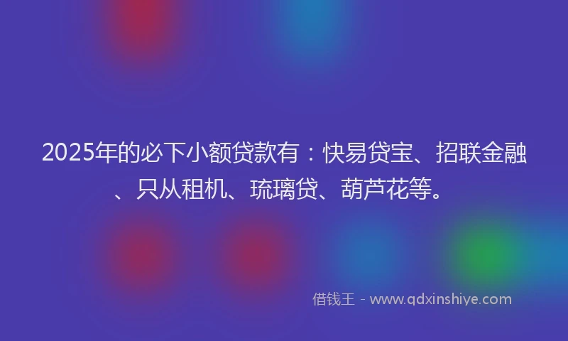 2025年的必下小额贷款有：快易贷宝、招联金融、只从租机、琉璃贷、葫芦花等。