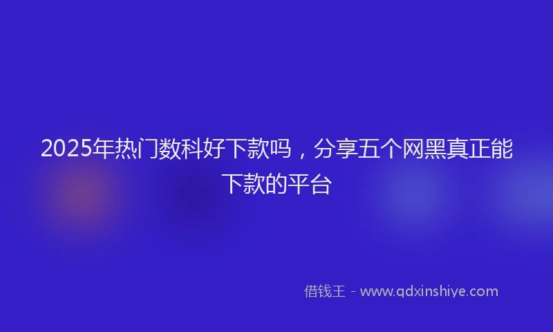 2025年热门数科好下款吗，分享五个网黑真正能下款的平台