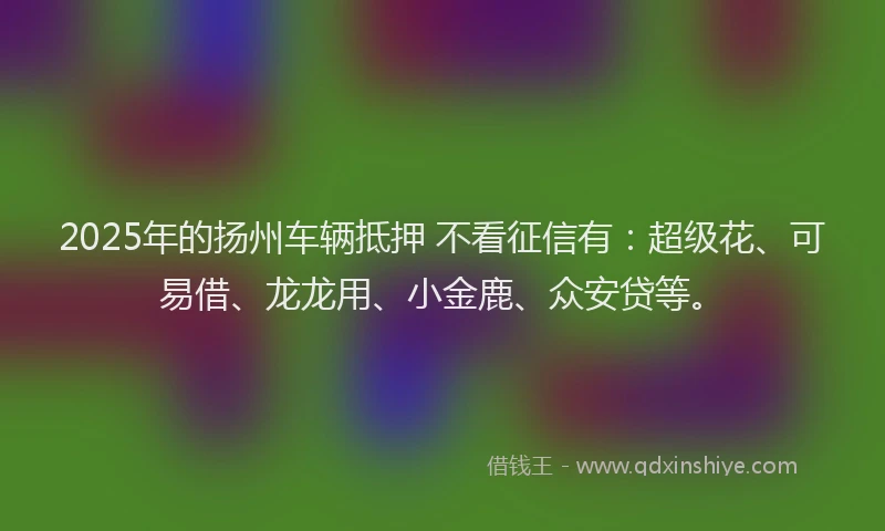 2025年的扬州车辆抵押 不看征信有：超级花、可易借、龙龙用、小金鹿、众安贷等。