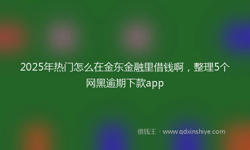2025年热门怎么在金东金融里借钱啊，整理5个网黑逾期下款app