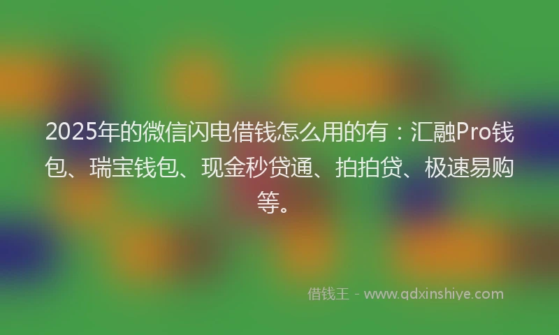 2025年的微信闪电借钱怎么用的有：汇融Pro钱包、瑞宝钱包、现金秒贷通、拍拍贷、极速易购等。