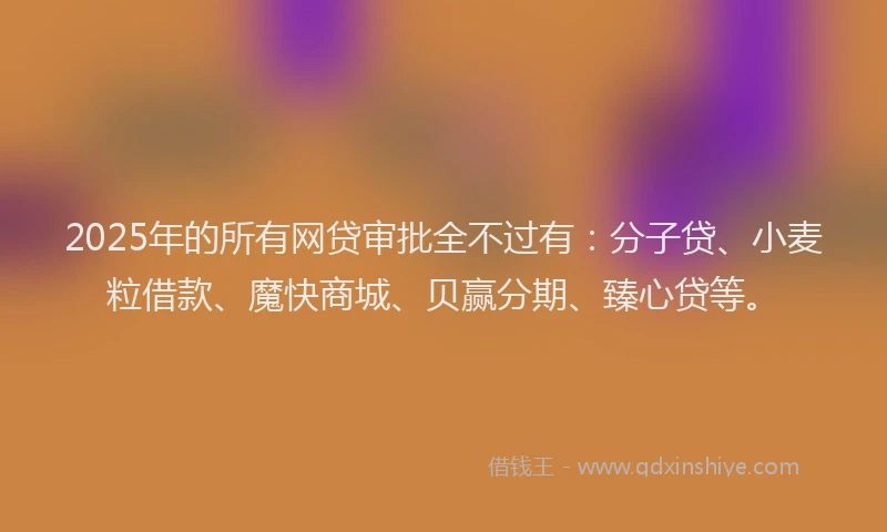 2025年的所有网贷审批全不过有：分子贷、小麦粒借款、魔快商城、贝赢分期、臻心贷等。